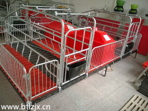 仔豬保溫箱