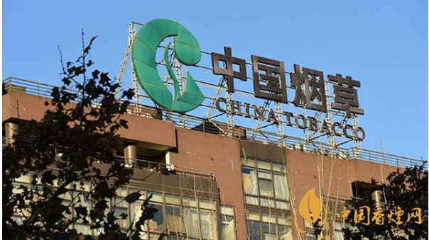 香煙漲價(jià)最新消息2020：香煙漲價(jià)真的能控?zé)焼?>
                                    <span>香煙漲價(jià)最新消息2020：香煙漲價(jià)真的能控?zé)焼?/span>
                                    <p>現(xiàn)在我國(guó)煙民的基數(shù)在不斷增大，而且有越來(lái)越多的青少年加入吸煙</p>
                                </a>
                            </li>
                                                                                </ul>
                    </div>

                </div>
            </div>
        </div>
    </div>

    
<link rel=