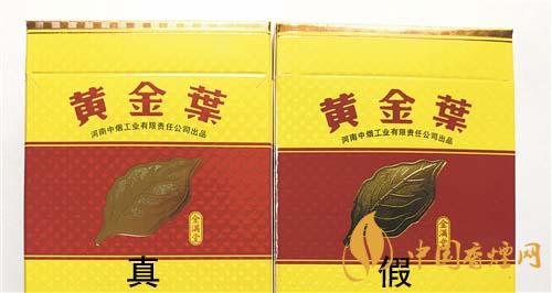 如何辨別黃金葉金滿堂真假？2020黃金葉真假辨別詳情對(duì)比