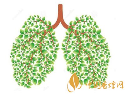 相比癌癥慢阻肺疾病離吸煙者更近！