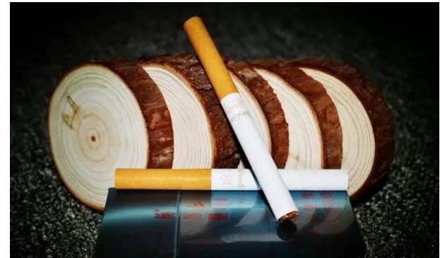 黃鶴樓游泳回歸，爺爺輩最喜愛的香煙品牌