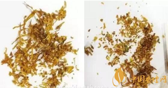 冬蟲夏草（和潤）真假鑒別，春節(jié)防止被騙