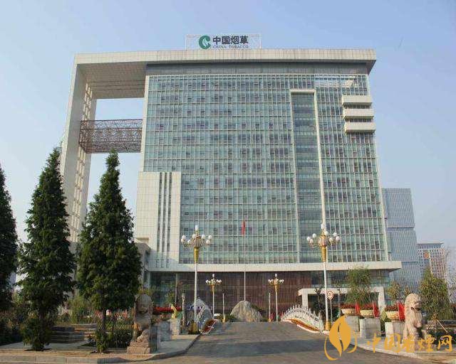 3.5億煙民1年為國家貢獻1.2億！專家：卷煙太便宜，要漲價